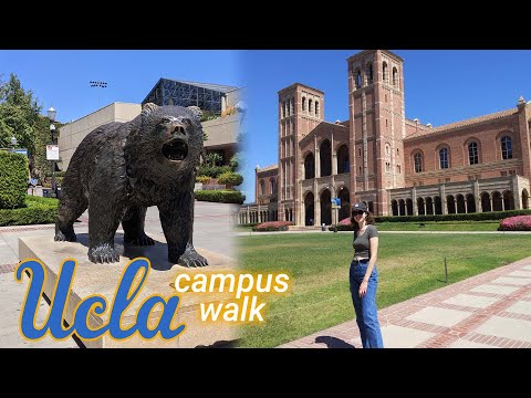 UCLA Campus Walk