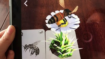 4d Animal Augmented Reality flash cards