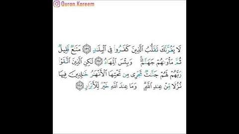القارئ ماهر المعيقلي - سورة آل عمران - من الآية 196 إلى الآية 198