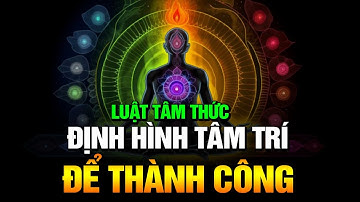 ĐỊNH HÌNH TÂM TRÍ ĐỂ THÀNH CÔNG - LUẬT TÂM THỨC - VŨ TRỤ | Tư Duy Làm Giàu