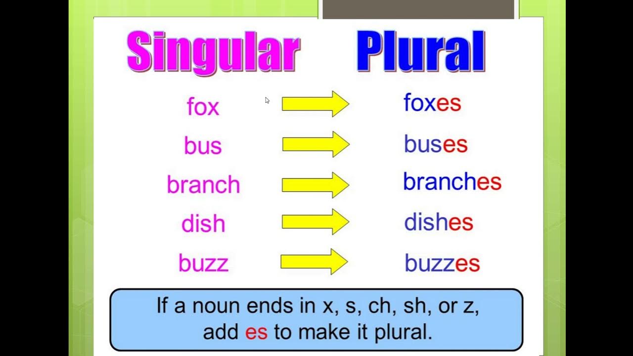 Plurals s es правило. Plurals правила. Множественное число в английском. Plurals rules. Plural nouns правило.