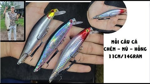 Mồi câu cá Mú, cá Hồng, cá Chẽm | Mồi giả câu lure hiệu quả nhiều địa hình  | Đồ Câu Cá T3 |