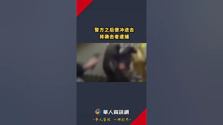 佩洛西丈夫视频曝光 还原遇袭场面 #how视频 #佩洛西#佩洛西丈夫 - 天天要闻