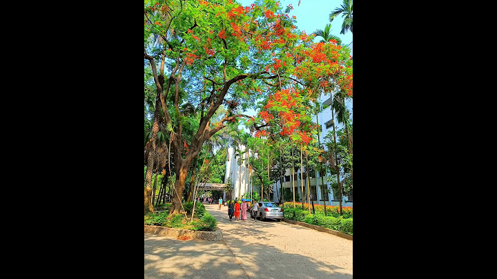 স্বপ্নের ঢাকা বিশ্ববিদ্যালয়ের সৌন্দর্য বেড়ে গেছে  Dream to dhaka University Beauty of dhaka varsity