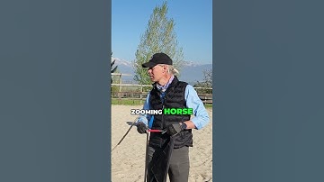 Horse Bonding: Setting Boundaries for Deeper Connection