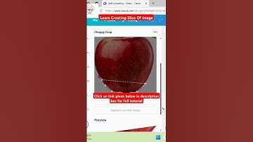 Learn slicing an image in canva , Choppy Crop Effect In Canva