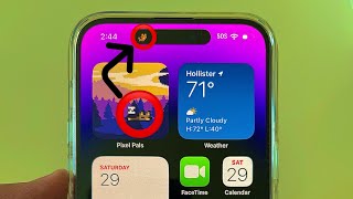 Como Instalar Pets🐶🐱 y Pixel Pals en el Dynamic Island 🏝️ iPhone