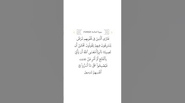 سورة المائدة ٥٢