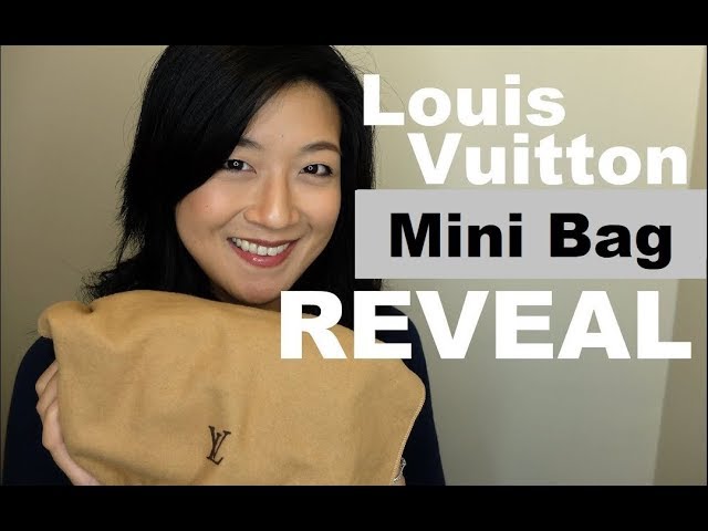 louis vuitton speedy hl vs mini｜TikTok Search