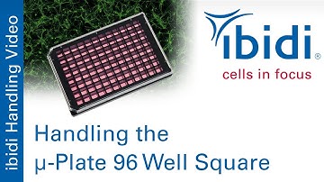 Handling the µ-Plate 96 Well Square