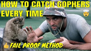 How to catch Gophers with Victor Black Box Gopher Traps - Gopher Control #gopher #gophertrap