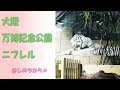 大阪万博記念公園の生きているミュージアムNIFRELに行ってきました。
