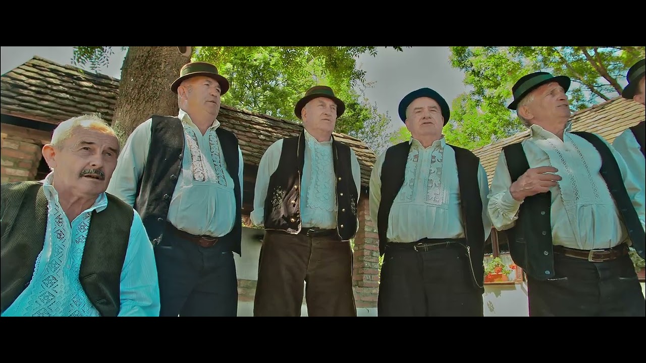 Ilija Babić, MPS Babogreci ft. Rockoko Orchestra - Na stanu sam gazda (Official 4k video)