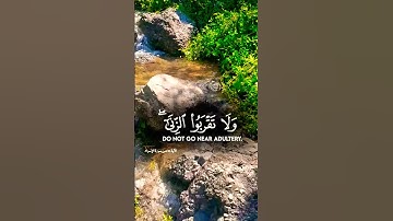 تلاوة خاشعة بصوت يريح الأعصاب #elmulquranعلم #قران_كريم #تلاوة #المصحف #اكسبلور #trend #لايك
