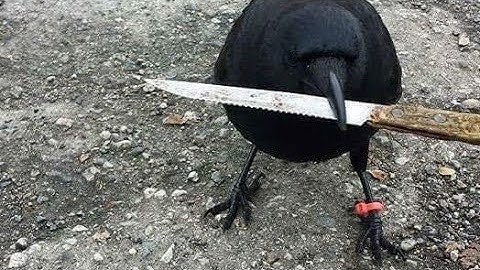 slick gigan test | stick nodes ( read description or else)