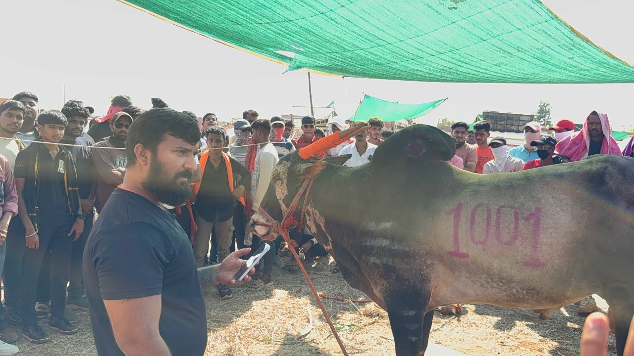 राहुल भाई आले मैदानात घेतला मथुरचा आशीर्वाद 🙏