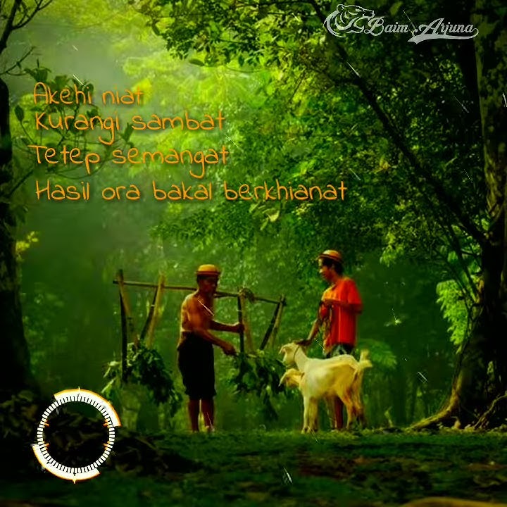 Status wa kekinian | | Lir iLir