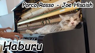 Porco Rosso - Joe Hisaishi cover by Minh Piano | Best Instrumental Piano Covers All Time