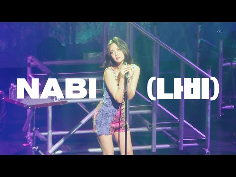 BIBI - 나비 NABI : 비비 단독콘서트 [와주시면 안 될까요?]