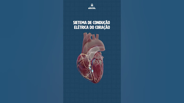 Entenda como funciona o sistema de condução elétrica do coração!