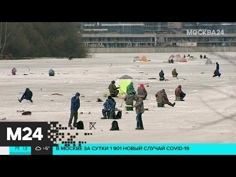 Рыбаки не хотят уходить со льда в Северном Тушине - Москва 24