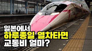 일본에서 하루 종일 열차를 타면 얼마가 나올까? JR웨스트 레일패스 장점과 단점