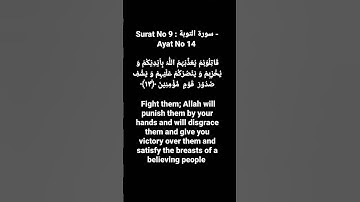 Surat No 9 : سورة التوبة - Ayat No 14 #surahtawbah #quranayat #shortvideo @quranpeaceofmind