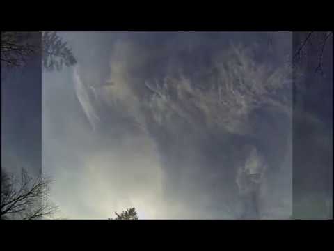 Fight of the Golden Eagle