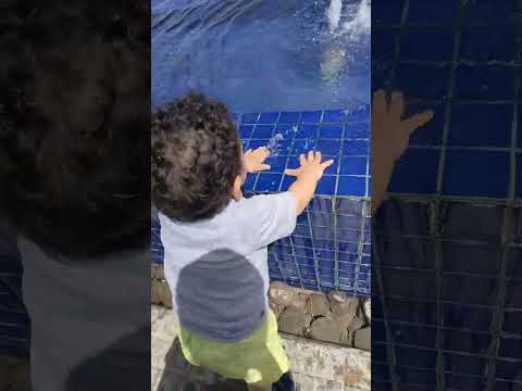 بنت الناس وابن الناس اصلان اسامه عبد الهادي