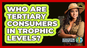 Who Are Tertiary Consumers In Trophic Levels? - Ecosystem Essentials