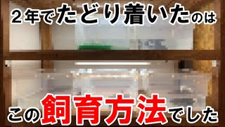 亀飼育に2年間全力で挑み続けた飼育者の答えが…