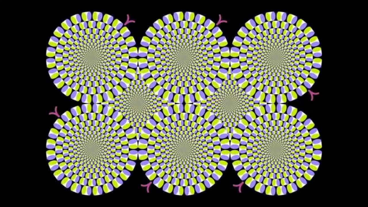 How Do Optical Illusions Work? 