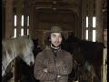 Un tanar intreprinzator Popa Calin din Petrila si  afacerea sa de succes CARPATHIAN HORSE TREKKING!