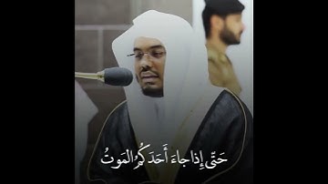 وَهُوَ القاهِرُ فَوقَ عِبادِهِ~تلاوة خاشعة لفضيلة الشيخ أ.د ياسر الدوسري