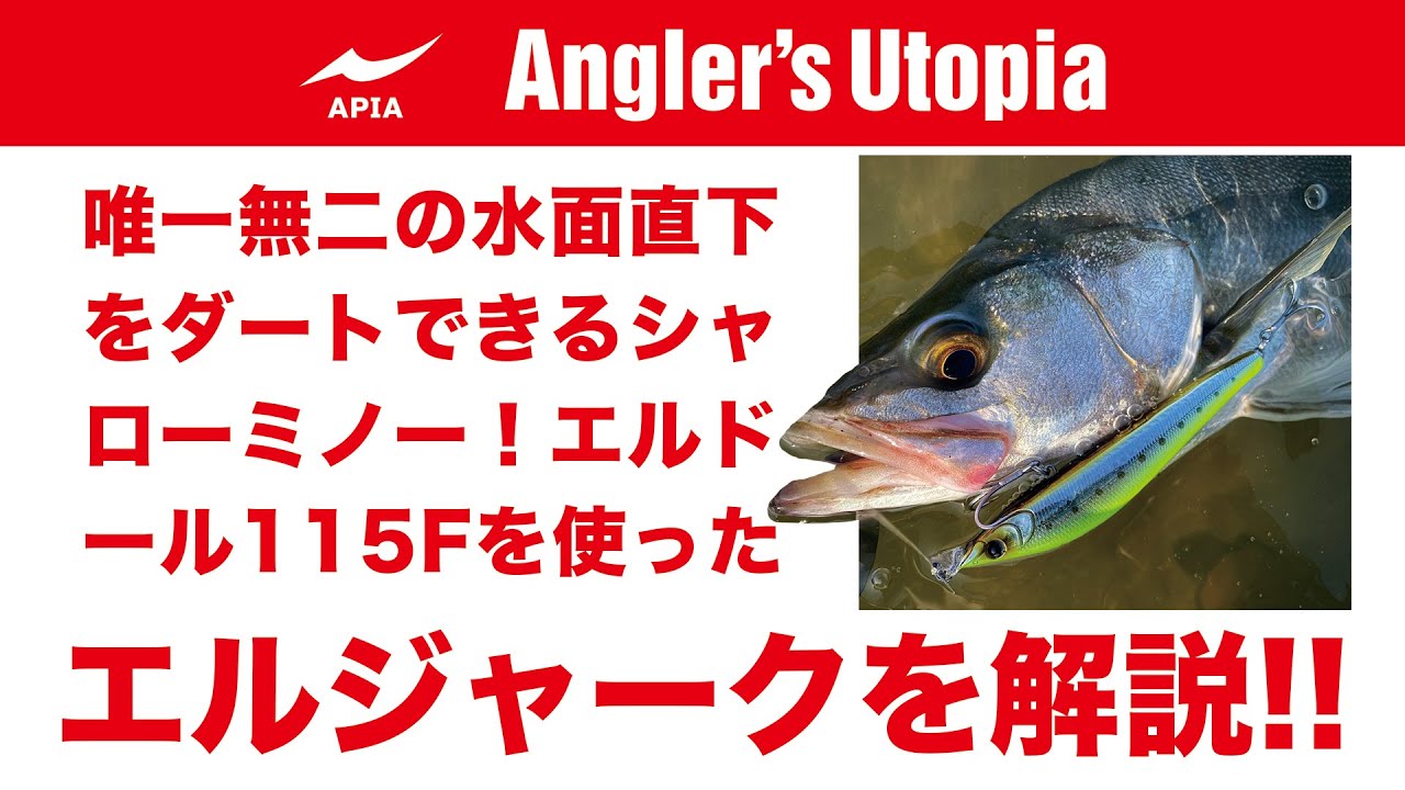 水面直下のダートで魚を狂わせる！】エルドール115Fのジャーキング