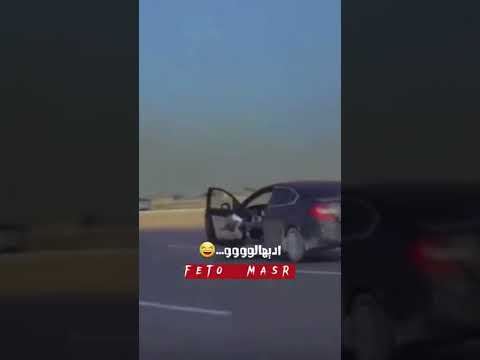 اديهالو
