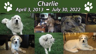 Charlie Tribute Video