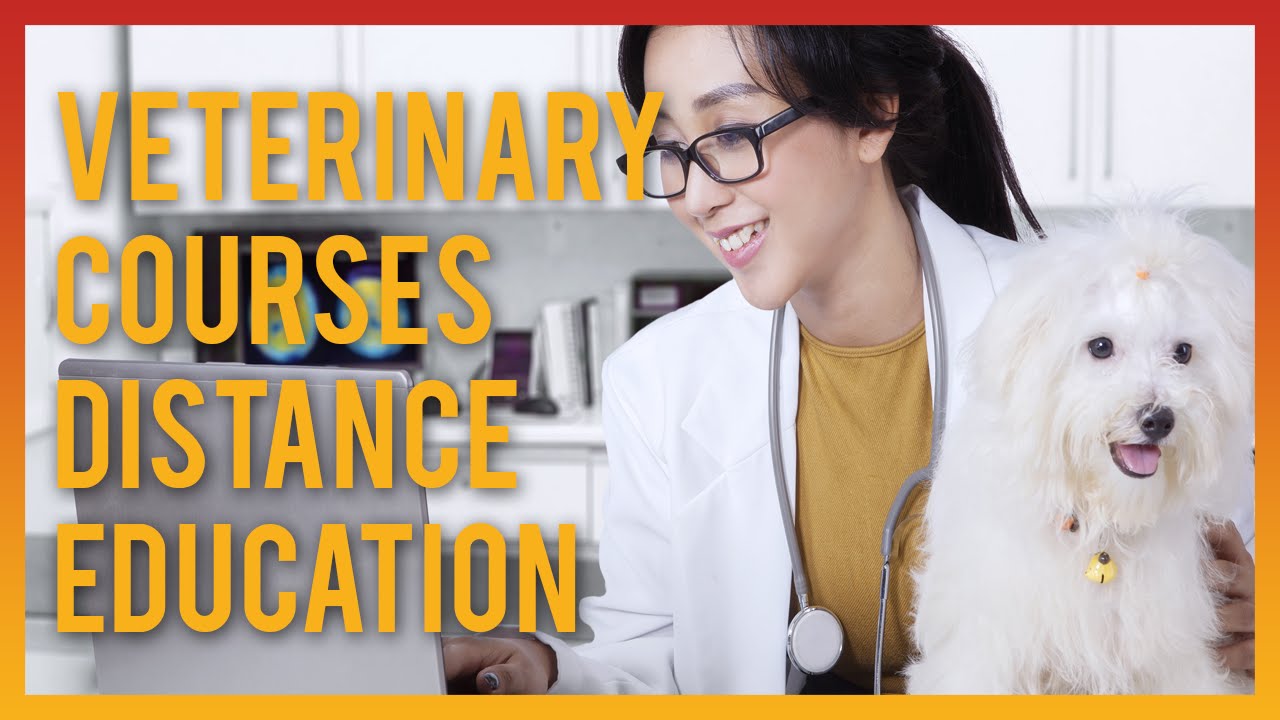 veterinary course in distance education