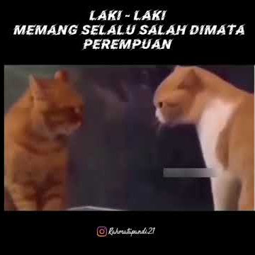 laki-laki memang selalu salah dimata perempuan