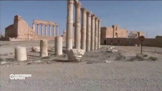 Как выглядит Пальмира после боевиков «ИГ»? Как выглядит Пальмира после боевиков «ИГ»?