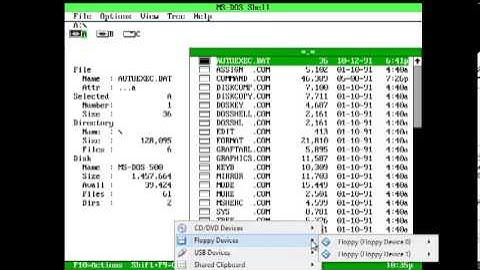 DOS Shell MS-DOS Version 5.00.432 (1990) and Microsoft Windows Cougar Startup (1993)