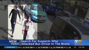 Bus driver beaten in the Bronx