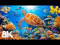 Underwater Wonders 8K — Beautiful Aquarium Fish Swimming for Stress Relief and Sleep