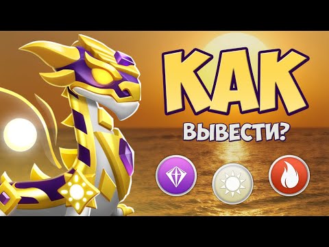 Video: Дракенаны кантип өстүрсө болот