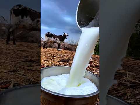 بادية البطانة وسهول البطانة والريف