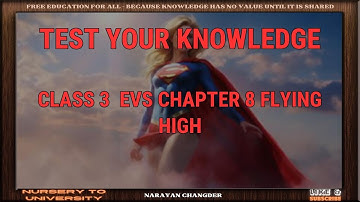 CLASS 3  EVS CHAPTER 8 FLYING HIGH