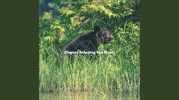 Brilliant Enchanting Serenity