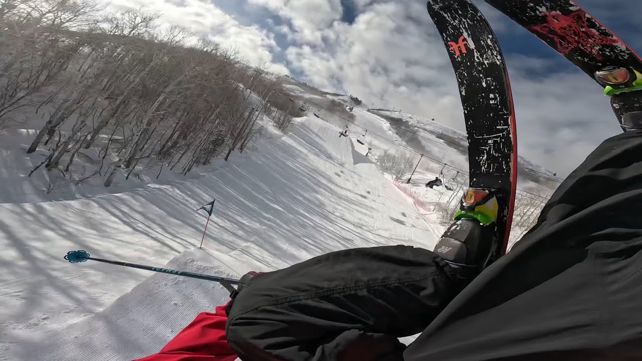 Дуб-бюллетень 7