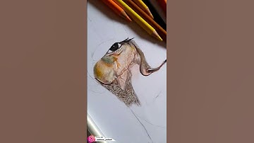 Drawing Cable(Josh Brolin)/Deadpool 2 #shorts #cable #joshbrolin #drawingtutorial #deadpool