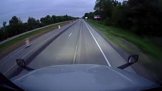 Deer gets hit by car
